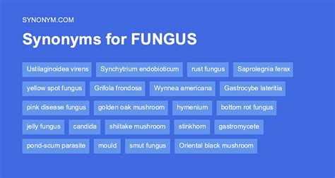 fungus antonyms|another word for fungi.